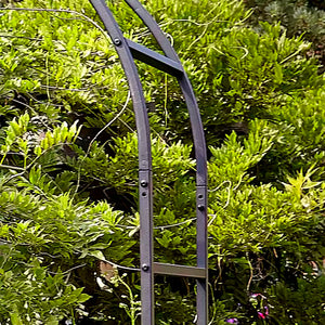 Tom Chambers Classic Garden Arch image 1