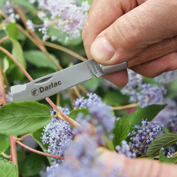 Darlac Budding Knife image 1