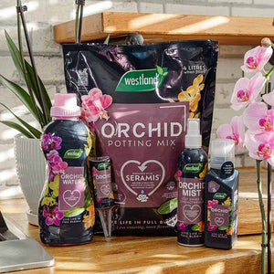 Westland Liquid Droplet Feeder For Orchids (40ml) image 2