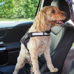 Zoon Jet Advanced Slip-on Walkabout Dog Harness image 4