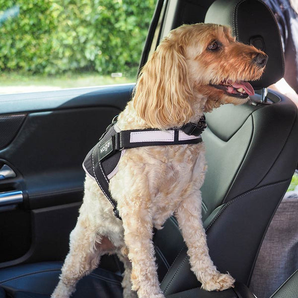 Zoon Jet Advanced Slip-on Walkabout Dog Harness image 4