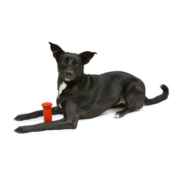 Petface Percy Postbox image 3