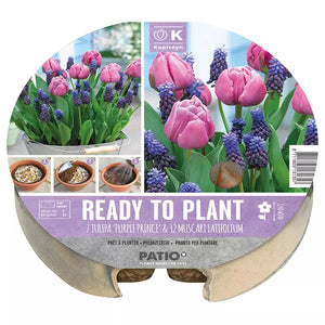Ready to Plant Plant-O-Mat Tulip & Muscari 24cm/9.5" (19 bulbs) image 0