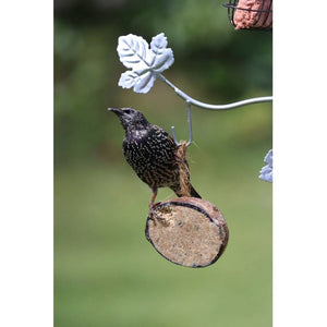 Henry Bell Sterling Bird Feeding Station Kit image 4