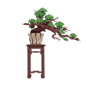 Robotime Evergreen Pine Bonsai DIY Wooden 3D Puzzle image 0