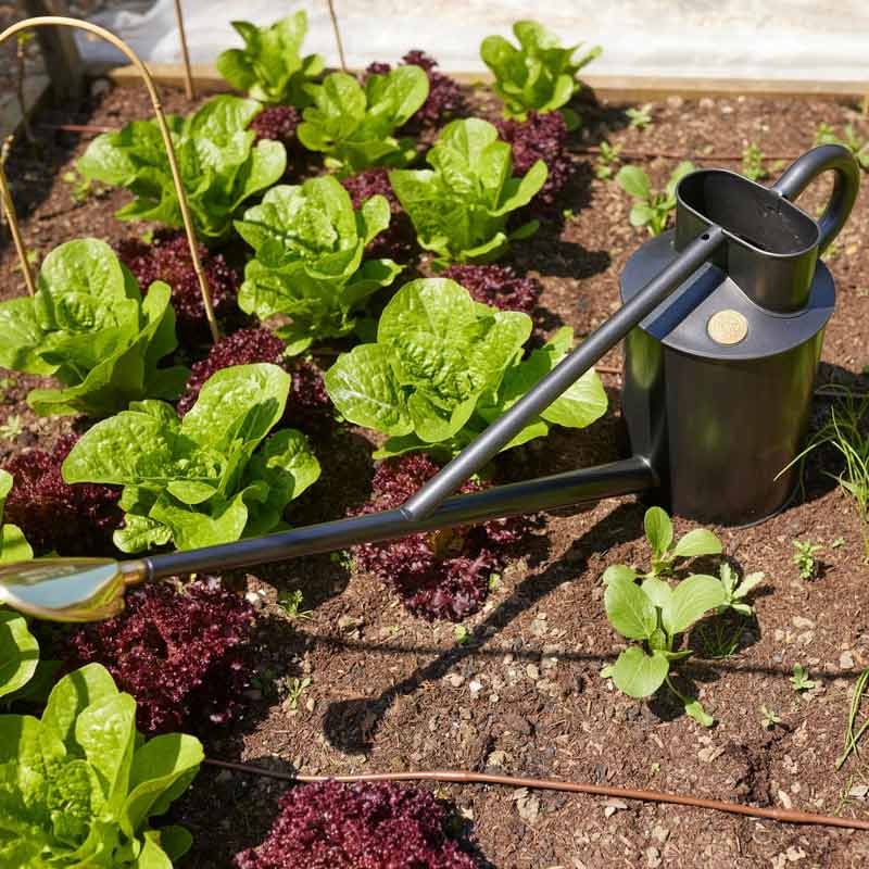 Haws The Warley Fall Watering Can Graphite Grey (2 Gallon) image 0