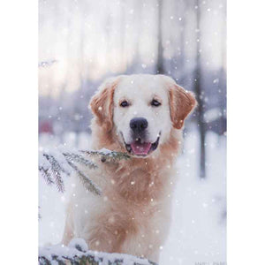 Ling Design Big Value Box - Christmas Animals (Pack of 24) image 5