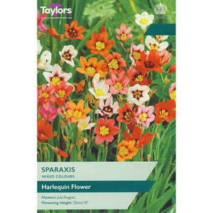 Sparaxis Mixed Colours (25 Bulbs) image 0