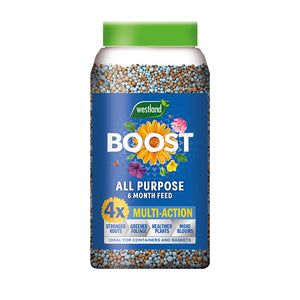 Westland Boost All Purpose Slow Release Plant Feed (750g) image 2