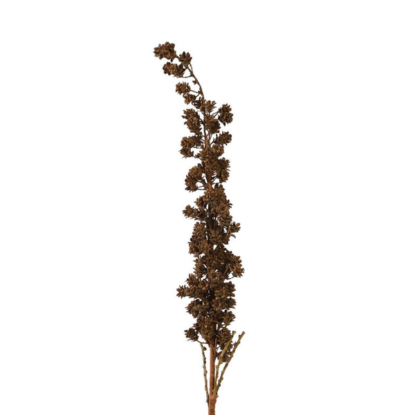 Everlands Brown Spray (115cm) image 0
