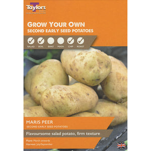 Maris Peer Second Early Seed Potatoes - Pack of 10 image