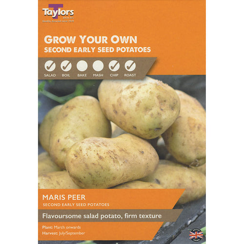 Maris Peer Second Early Seed Potatoes - Pack of 10 image