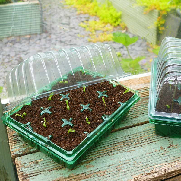 Gro-Sure Visiroot Twin Propagator Set image 2