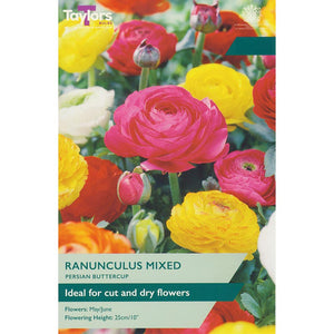 Ranunculus Mixed (12 Bulbs) image 0