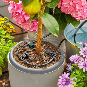 GARDENA Solar-powered Irrigation AquaBloom Set image 3