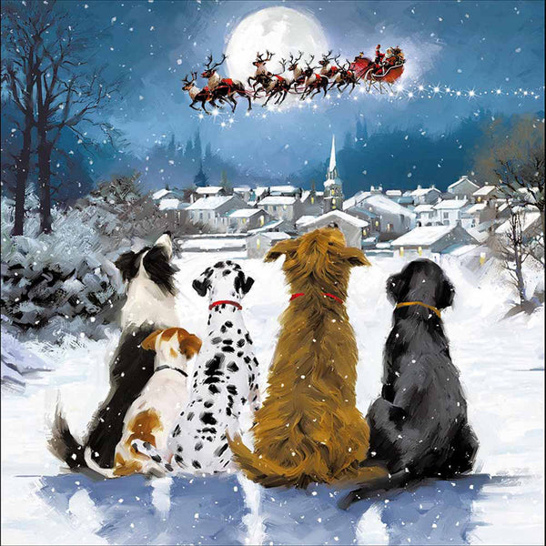 Woodmansterne Dogs Watching Christmas Card image 0