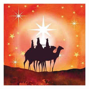 RSPB Small Square Christmas Cards - Star of Wonder (Pack of 10) image 0