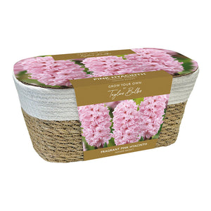 Large Wicker Basket Pink Hyacinth Planter (5 bulbs) image 0