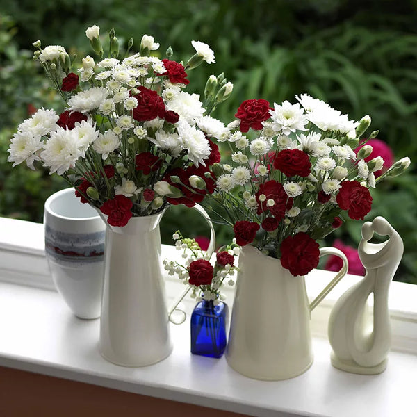 Dianthus 'Passion' image 2
