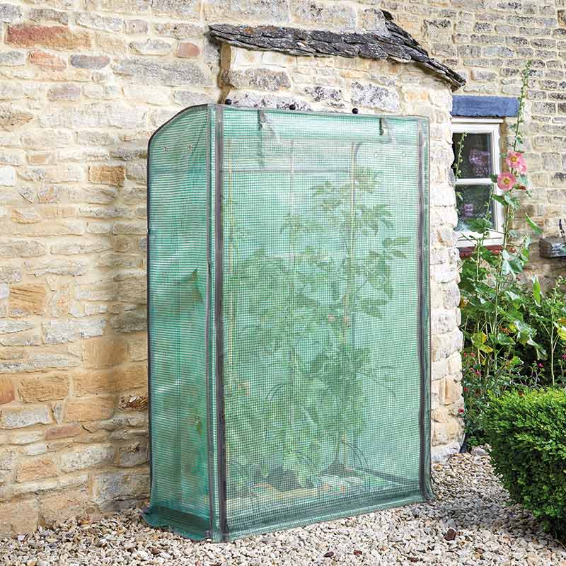 GroZone Tomato Growhouse image 0