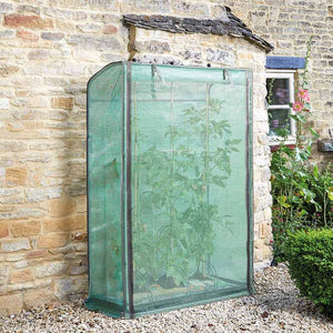 GroZone Tomato Growhouse image 1