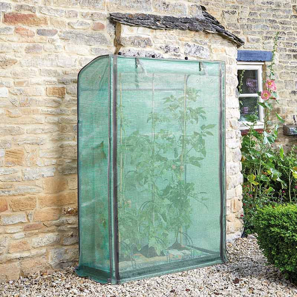 GroZone Tomato Growhouse image 1