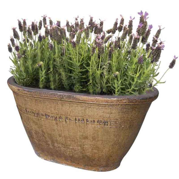Errington Reay & Co. Ltd Courtyard Oval Tub Old Leather (Large S2) image 0