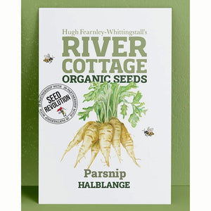 River Cottage Organic Seeds – Parsnip ‘Halblange’ (1 Packet) image 0