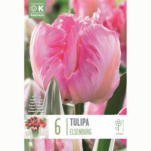 Tulip Parrot ‘Elsenburg’ (6 Bulbs) image 0