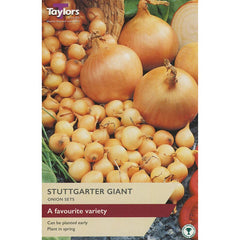 Stuttgarter Giant Onion Sets (Pack of 50) image 0