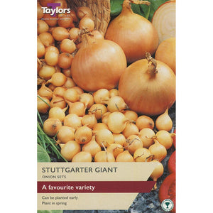 Stuttgarter Giant Onion Sets (Pack of 50) image 0