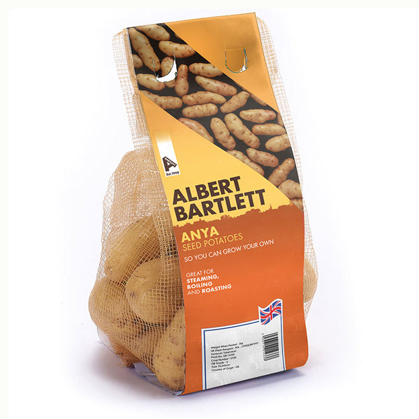 Albert Bartlett Anya Second Early Seed Potatoes (2kg bag)