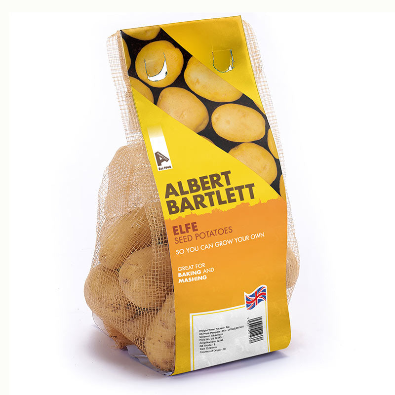 Albert Bartlett Elfe Second Early Seed Potatoes