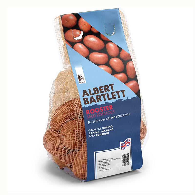 Albert Bartlett Rooster Main Crop Seed Potatoes