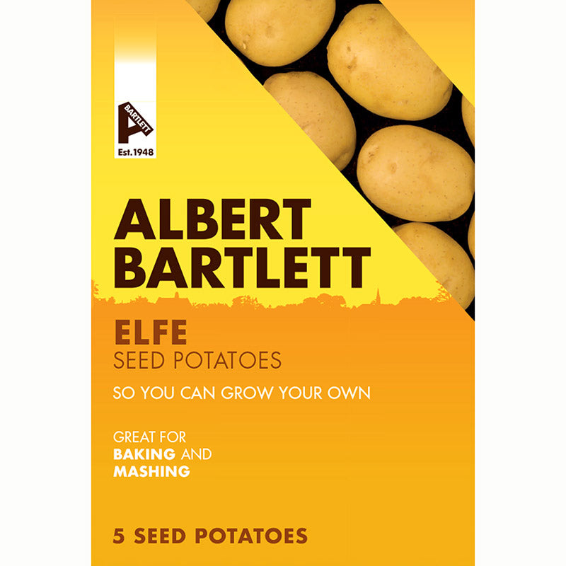 Albert Bartlett Elfe Second Early Seed Potatoes