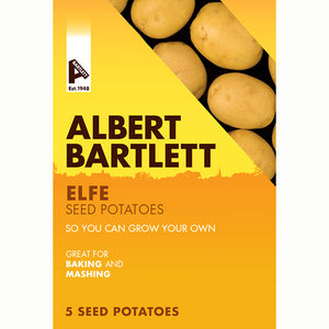 Albert Bartlett Elfe Second Early Seed Potatoes