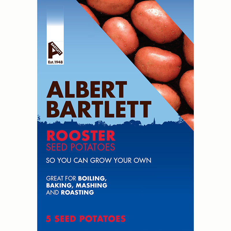 Albert Bartlett Rooster Main Crop Seed Potatoes