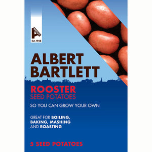 Albert Bartlett Rooster Main Crop Seed Potatoes