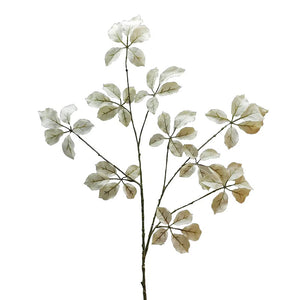 APAC Cream Leaf Spray