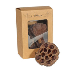 APAC Dried Lotus Heads