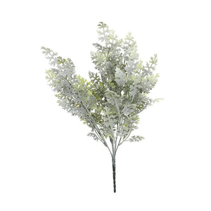 APAC Frosted Fern Bush