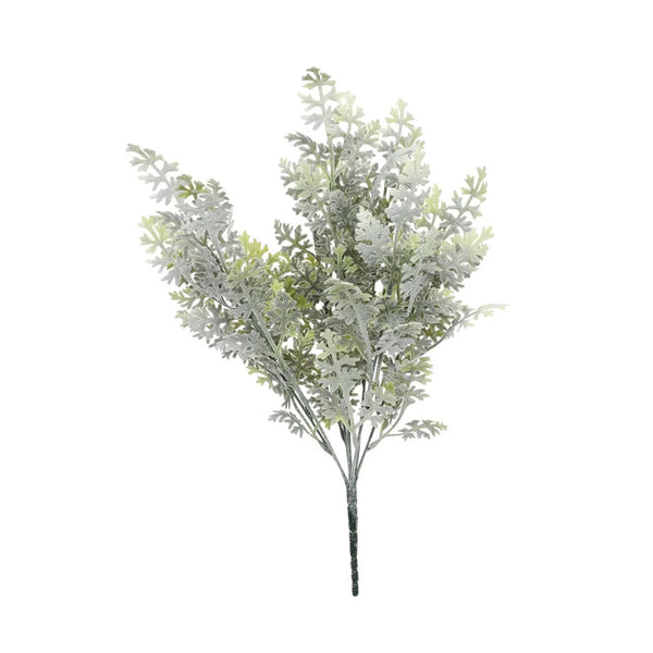 APAC Frosted Fern Bush