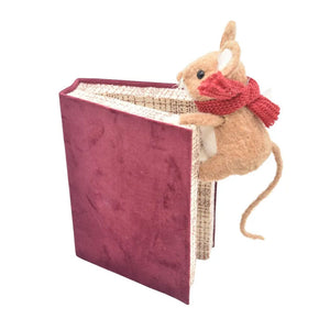 APAC Mouse Climbing Book