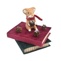 APAC Mouse on Books