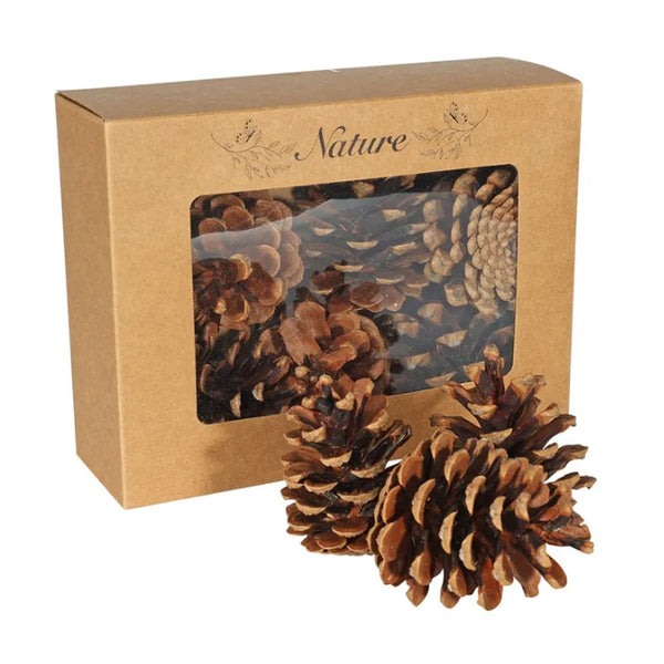 APAC Pinecones