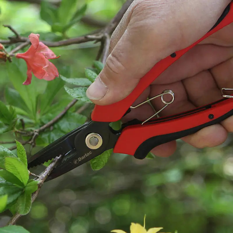Darlac Cut-n-Hold Flower Snips image 0