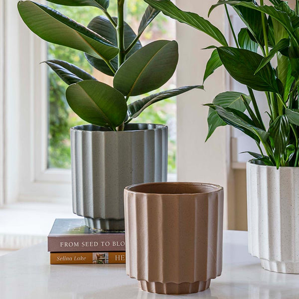 Ivyline Bourton Scalloped Indoor Planter Range image 2