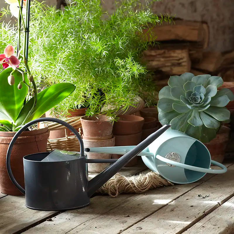 Burgon & Ball Sophie Conran Greenhouse & Indoor Watering Can image 0