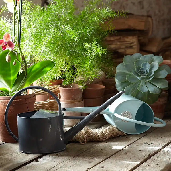 Burgon & Ball Sophie Conran Greenhouse & Indoor Watering Can image 1