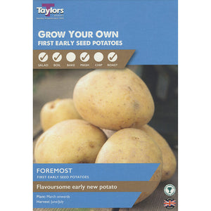 Foremost First Early Seed Potatoes - Pack of 10 image